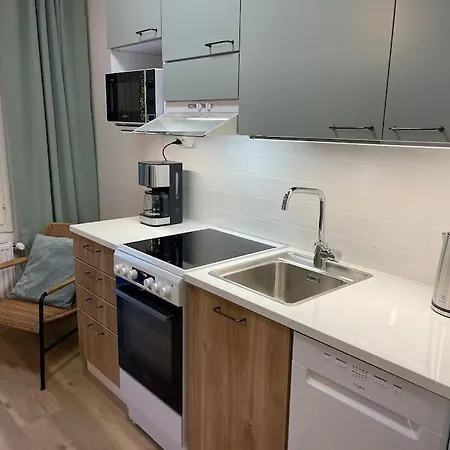 Apartment Docent's Flat