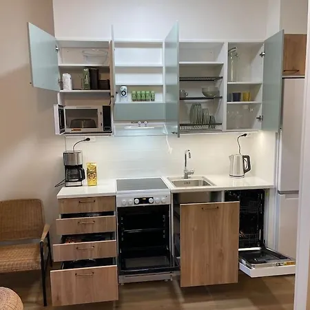 Apartment Docent's Flat *