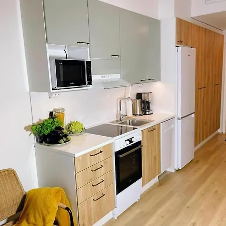 Docent's Flat Joensuu