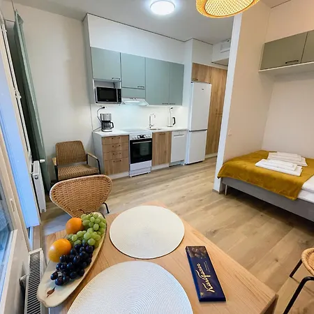 Apartment Docent's Flat Joensuu