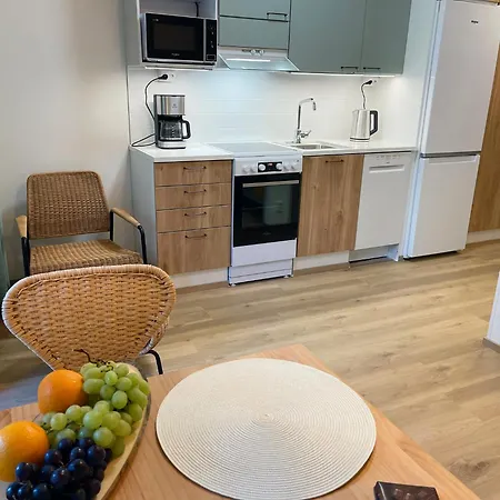 Docent's Flat Lejlighed