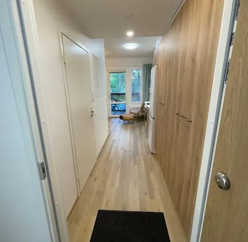 Docent's Flat * יואנסו