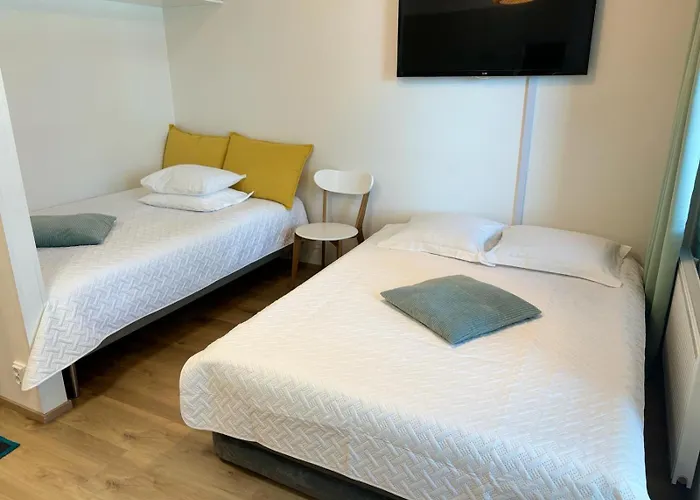 Docent's Flat דירה יואנסו