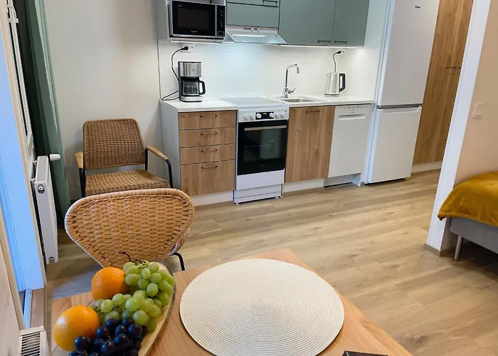 Docent's Flat דירה